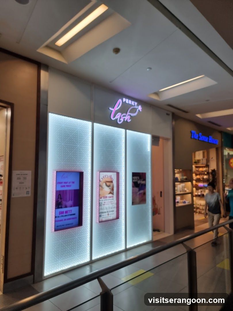 Perky Lash - Eyelash Extension Serangoon Nex