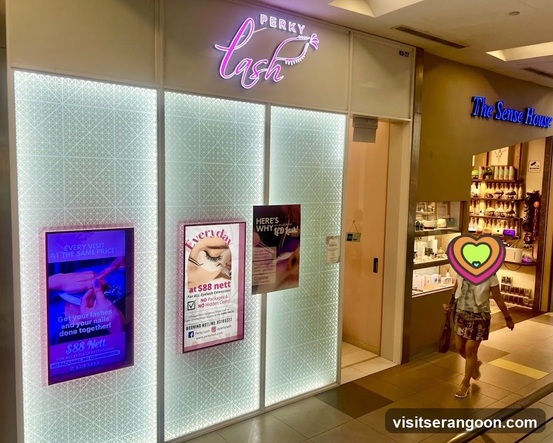 Perky Lash - Eyelash Extension Serangoon Nex