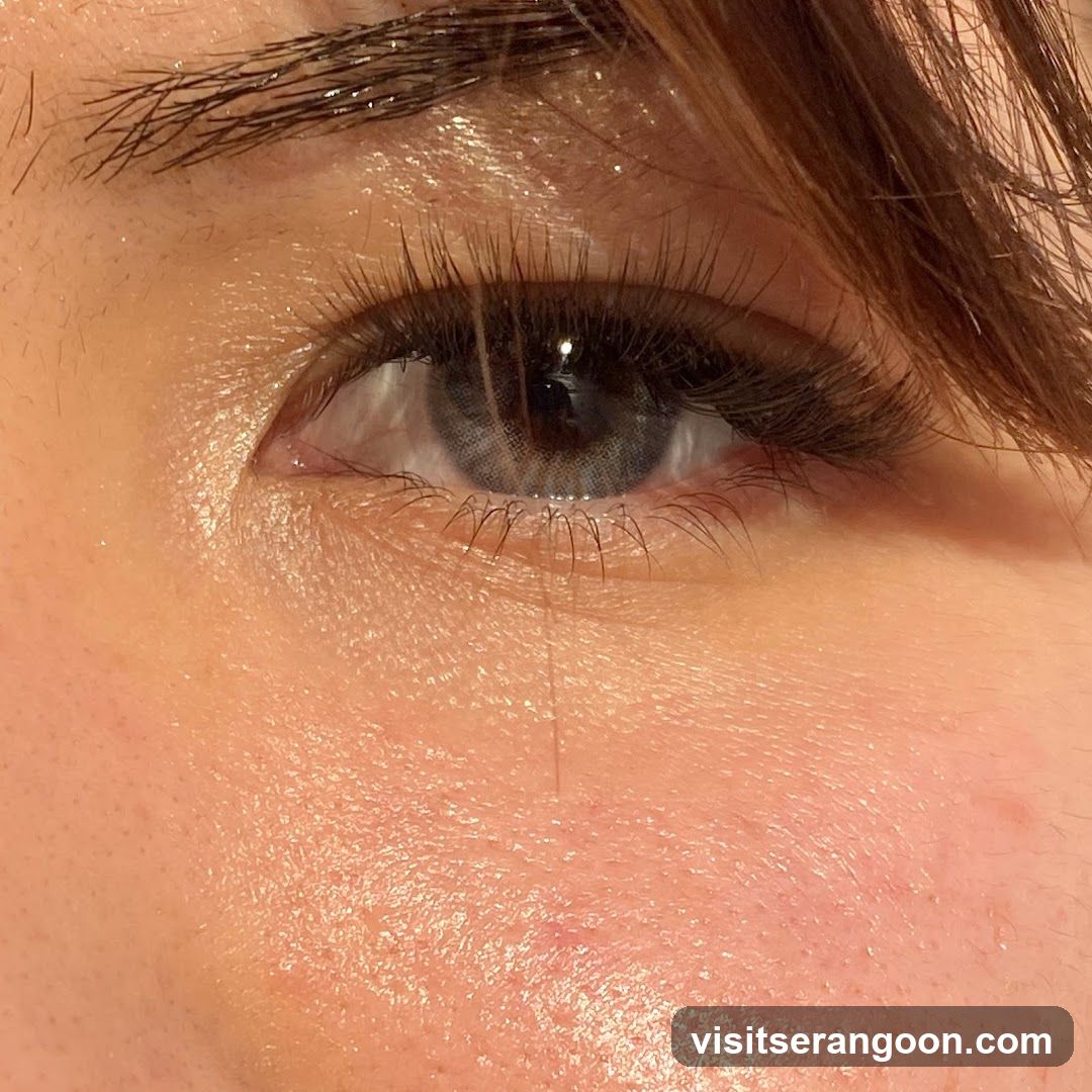 Perky Lash - Eyelash Extension Serangoon Nex
