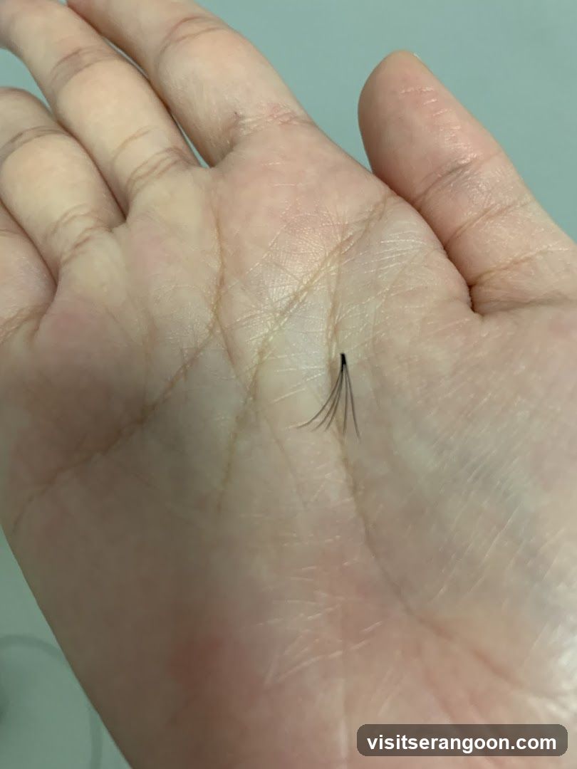 Perky Lash - Eyelash Extension Serangoon Nex