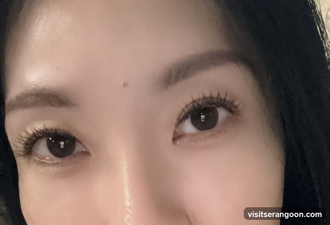 Perky Lash - Eyelash Extension Serangoon Nex