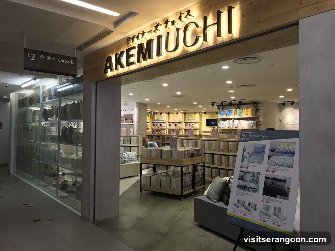 AKEMI | NEX
