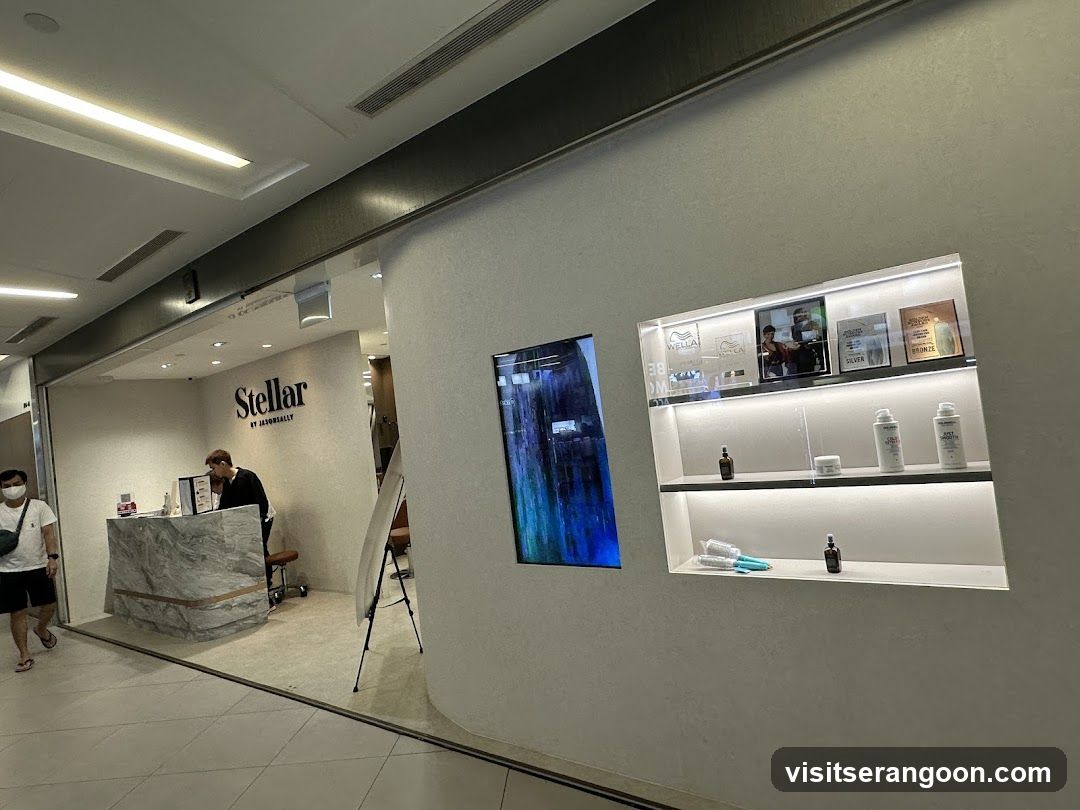 Stellar by Jasonsally ( JasonSally Hairdressers @ Nex Shopping Mall )
