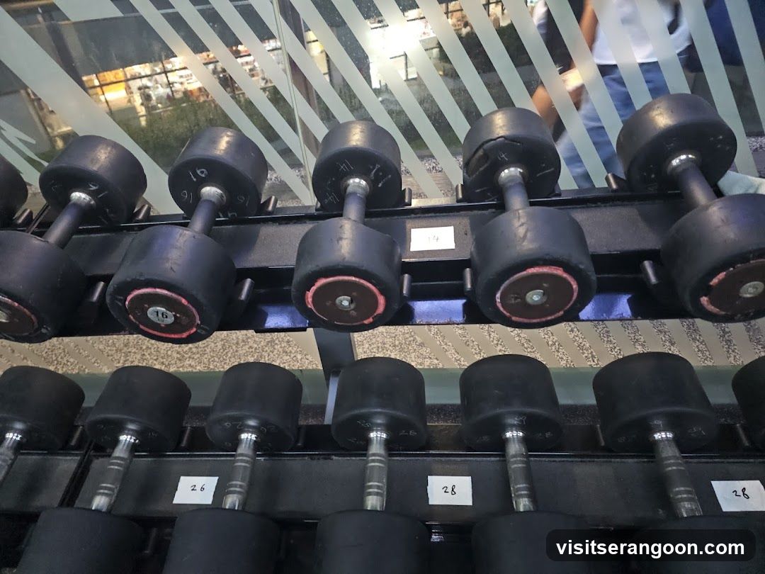 Anytime Fitness NEX
