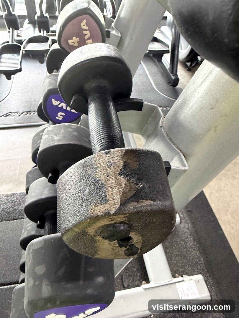 Anytime Fitness NEX