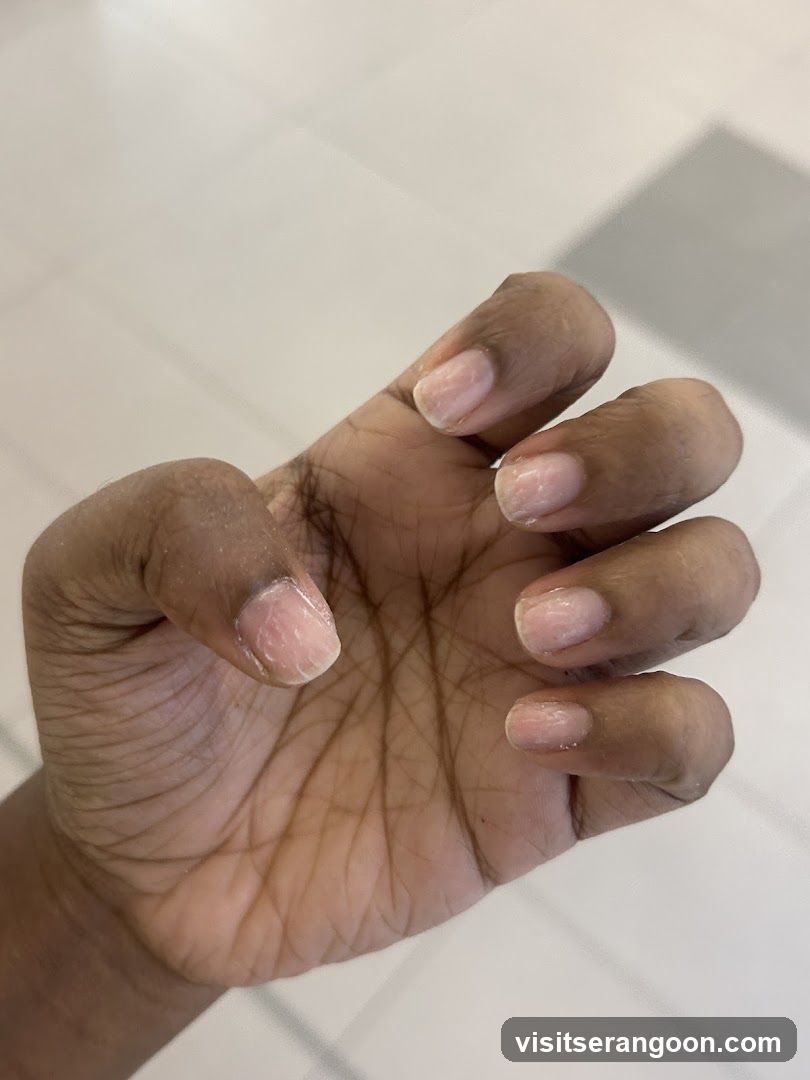Nail Palace - NEX