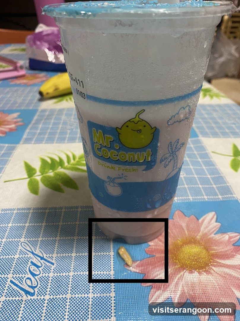 Mr. Coconut (NEX)
