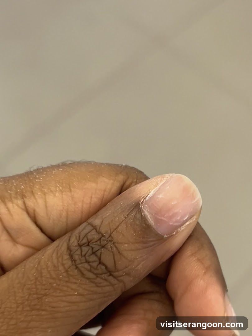 Nail Palace - NEX