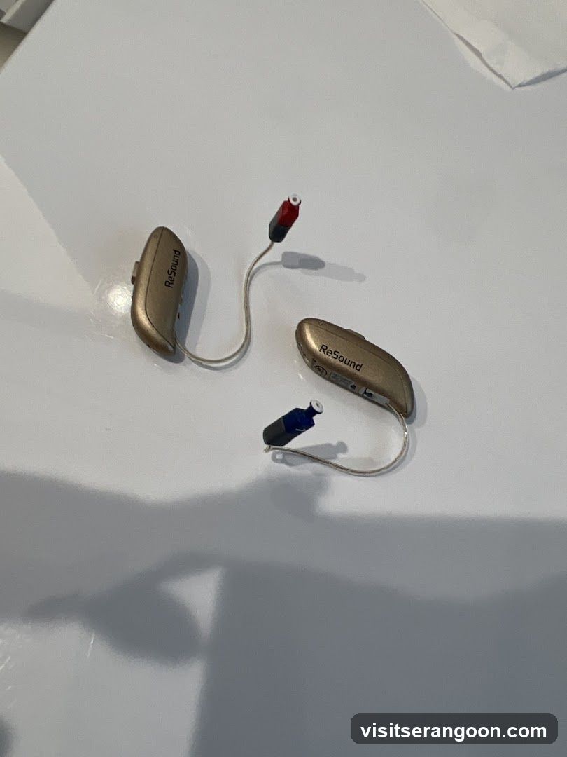 Amazing Hearing, Serangoon NEX Hearing Test, Hearing Aids and Tinnitus
