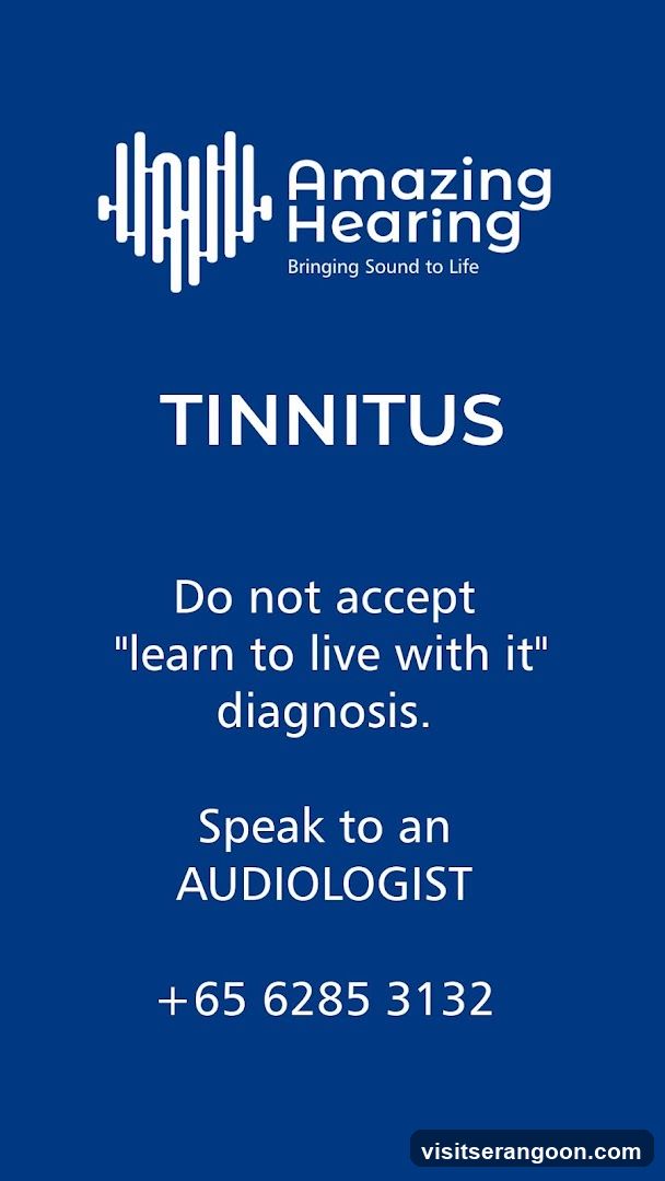 Amazing Hearing, Serangoon NEX Hearing Test, Hearing Aids and Tinnitus