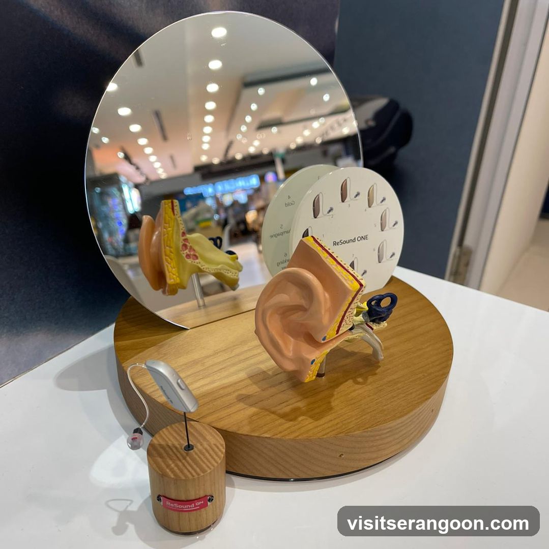 Amazing Hearing, Serangoon NEX Hearing Test, Hearing Aids and Tinnitus