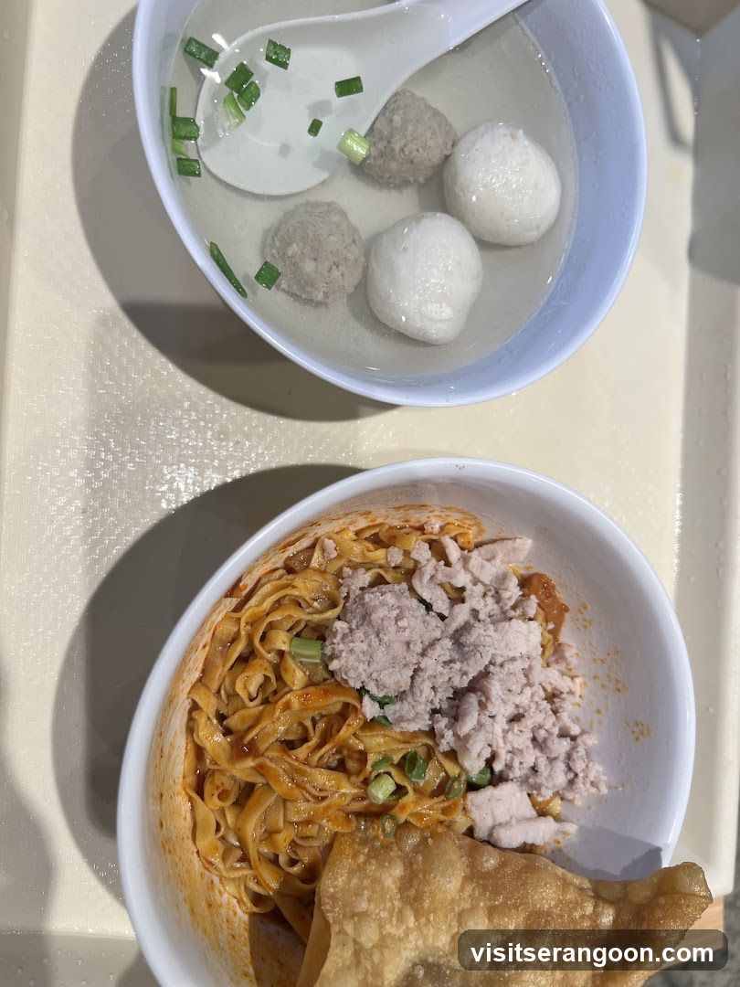 LiXin Teochew Fishball Noodles - Serangoon NEX