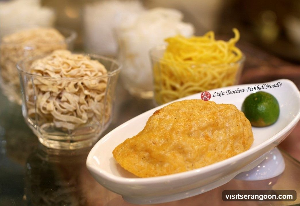 LiXin Teochew Fishball Noodles - Serangoon NEX