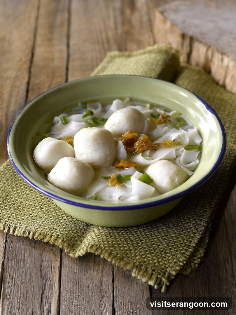 LiXin Teochew Fishball Noodles - Serangoon NEX