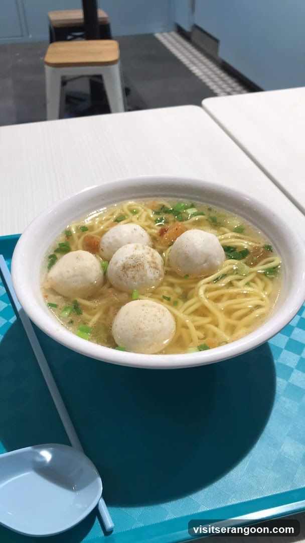 LiXin Teochew Fishball Noodles - Serangoon NEX