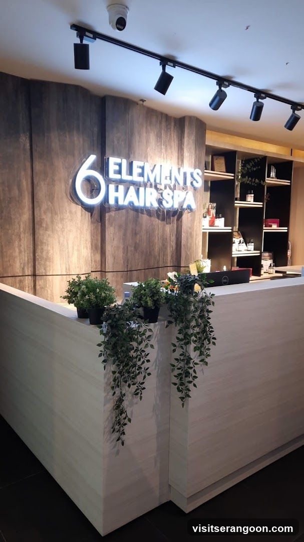 6 Elements Hairspa - NEX
