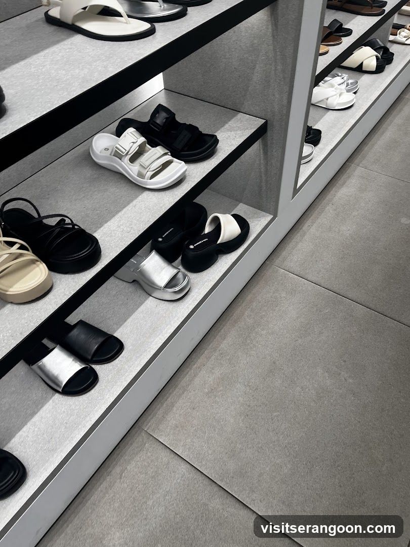 CHARLES & KEITH - NEX