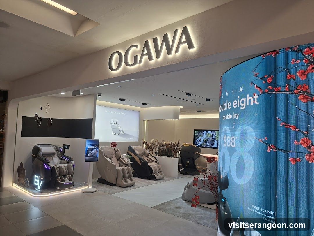 OGAWA (NEX)