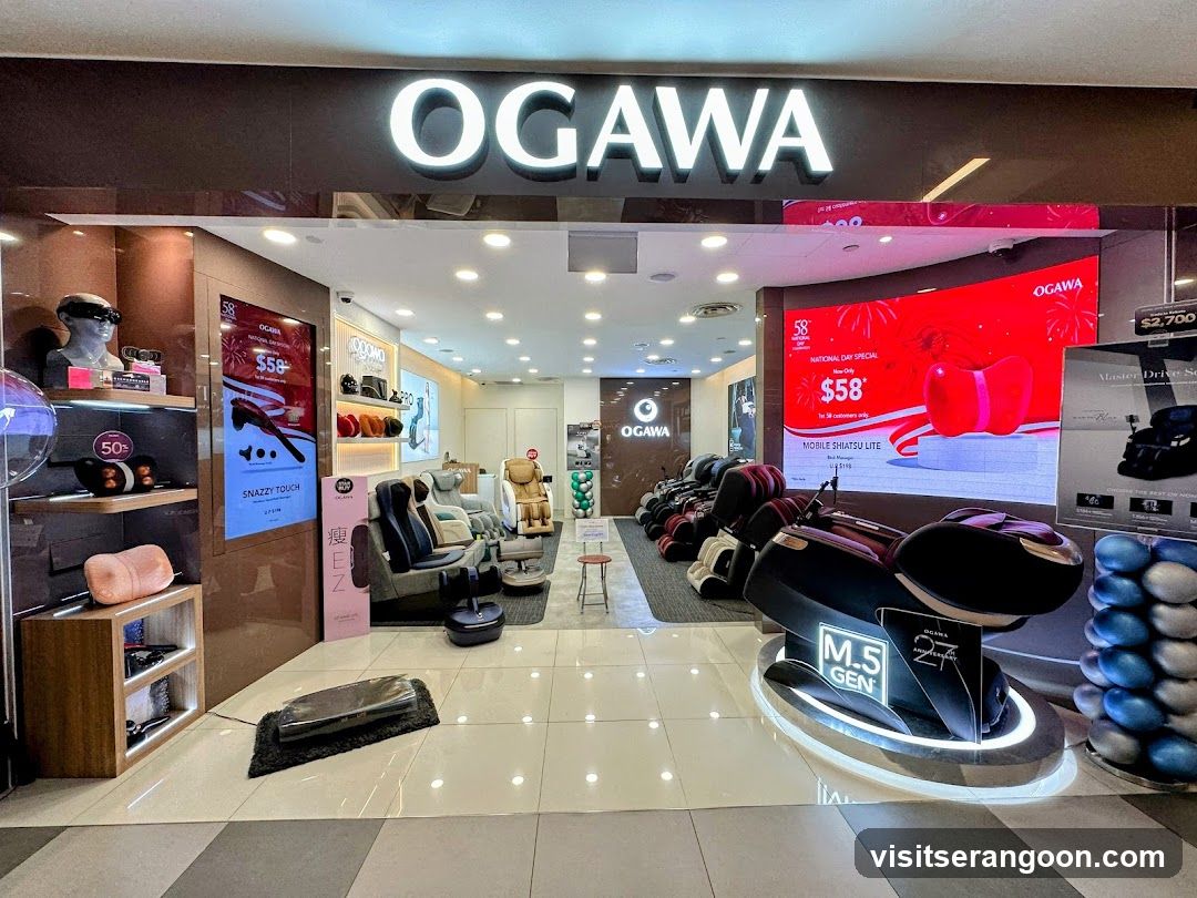 OGAWA (NEX)