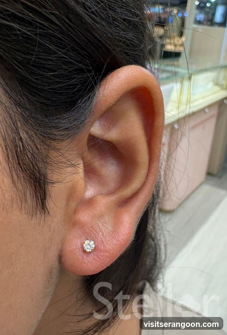 Stellar @ NEX (Ear Piercing & Jewellery)
