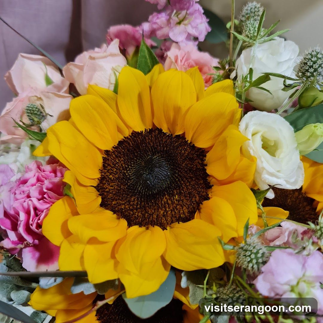 Xpressflower