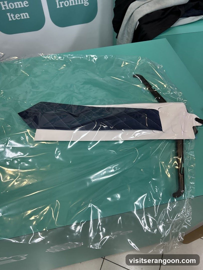 The Care Laundry (NEX)