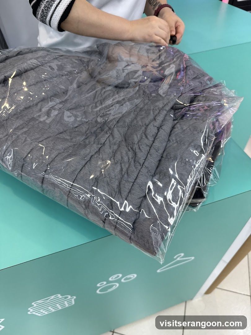 The Care Laundry (NEX)