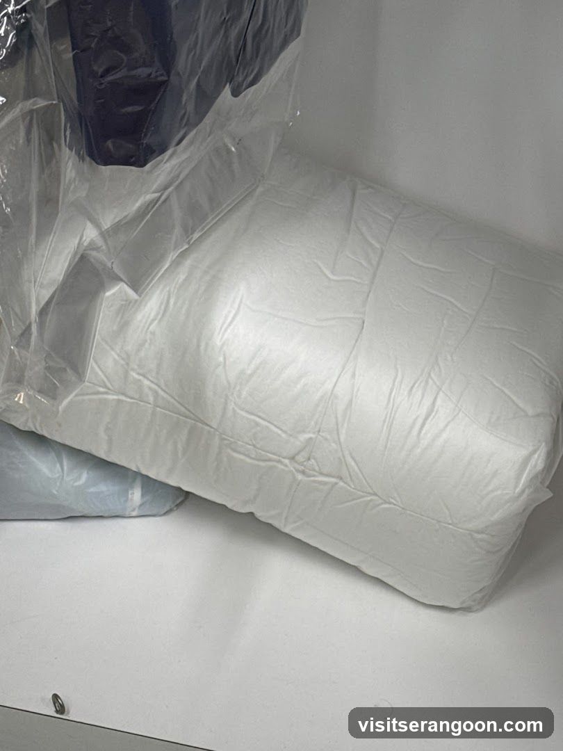 The Care Laundry (NEX)