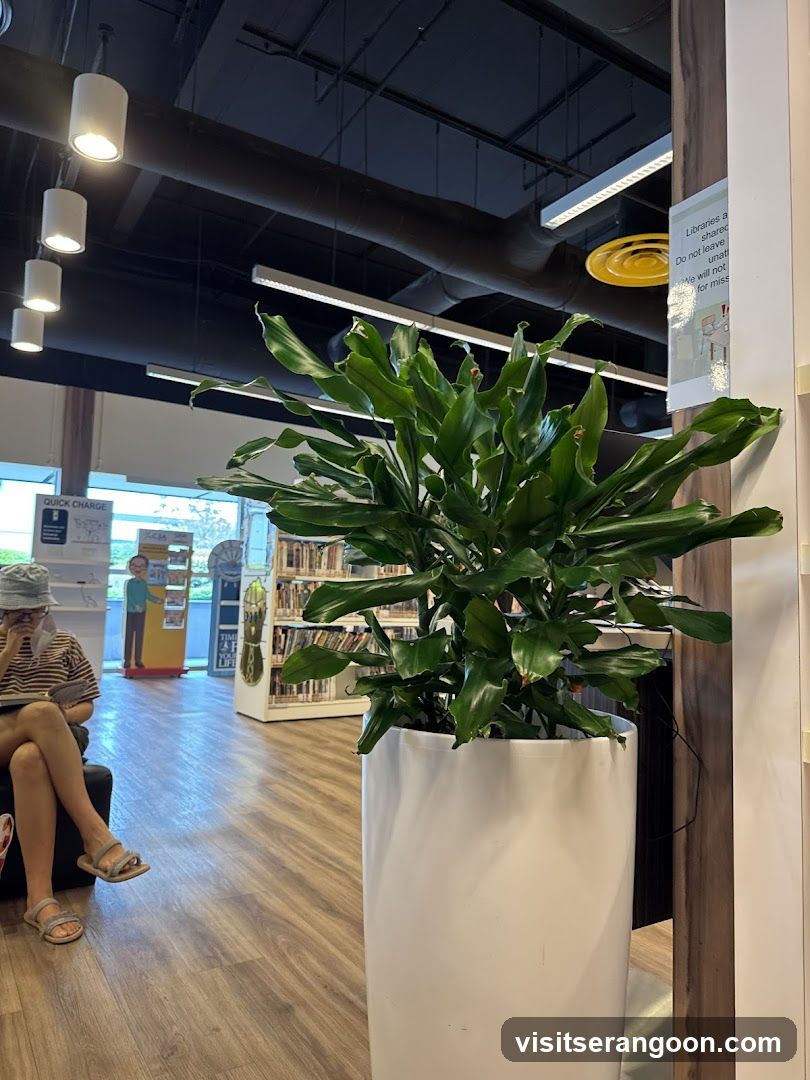 Serangoon Library