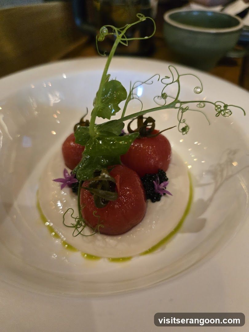 SUPPLY & DEMAND Italian Restaurant & Rooftop Bar | ARKTOS GELATO