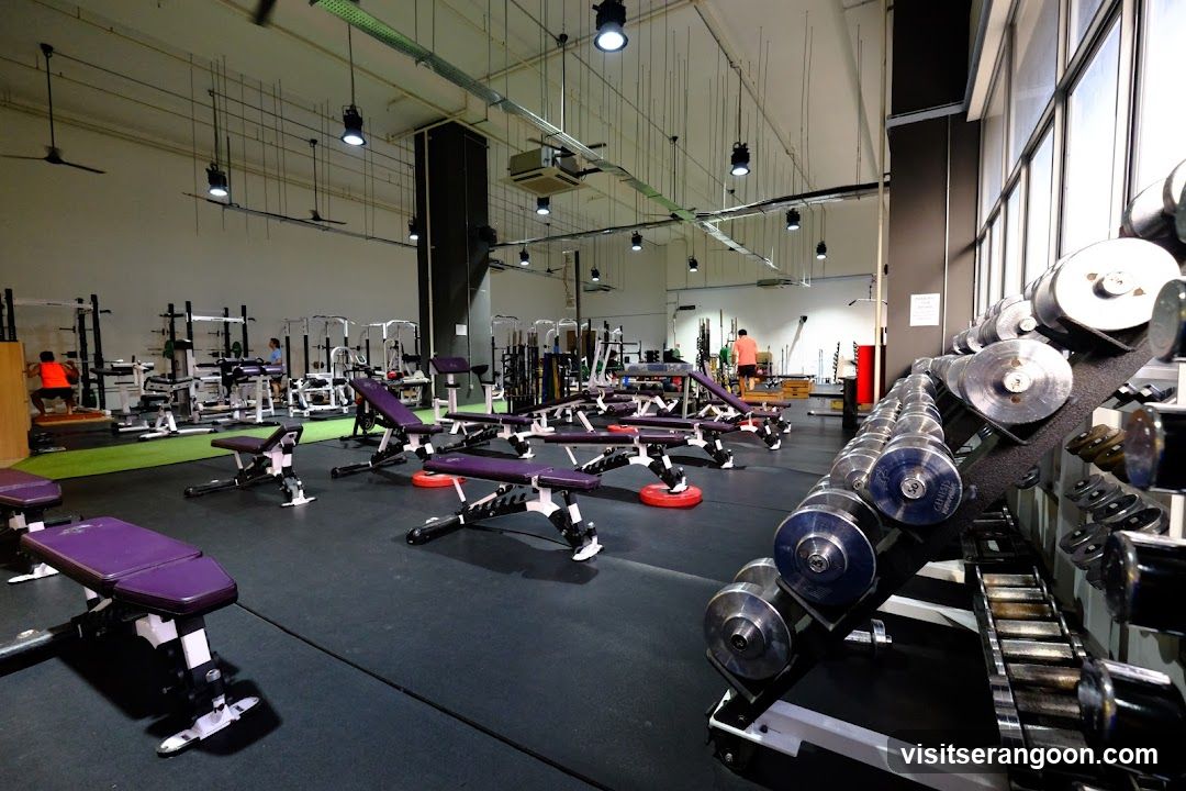 Genesis Gym