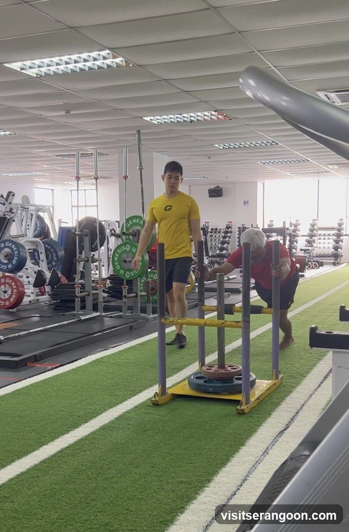 Genesis Gym