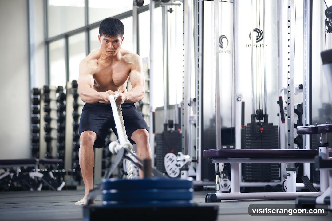 Genesis Gym