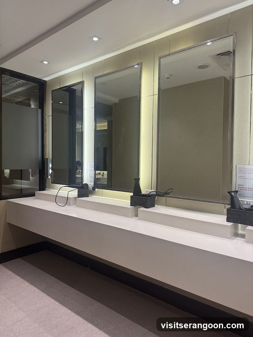 Ambassador Transit Lounge - Terminal 3 (AIRSIDE)