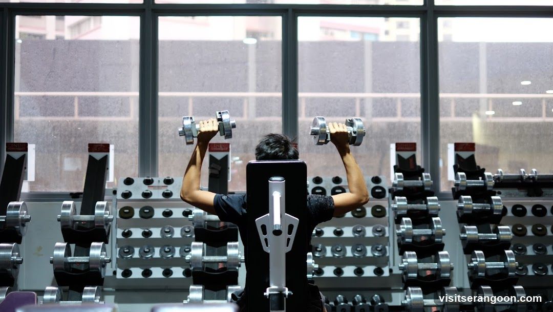 Genesis Gym