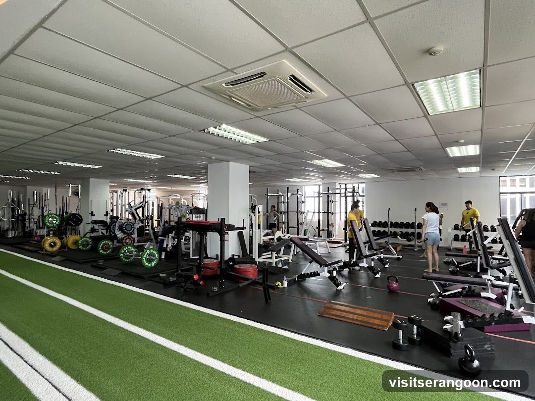 Genesis Gym