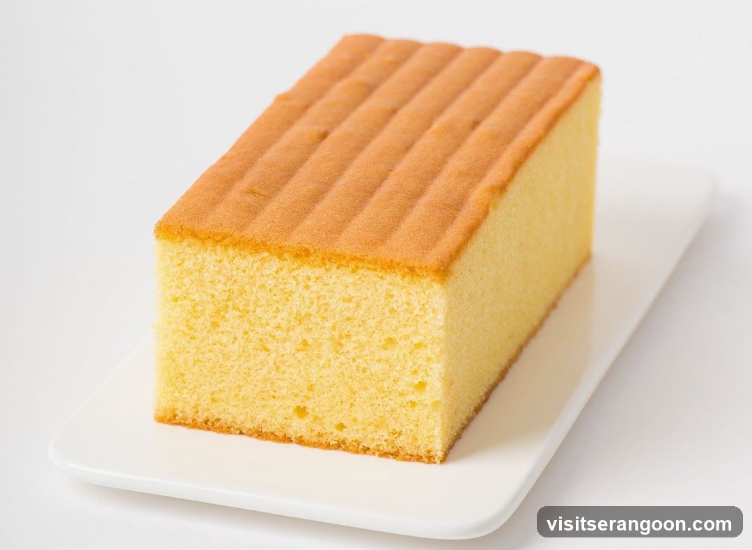 Sponge Cake Slice
