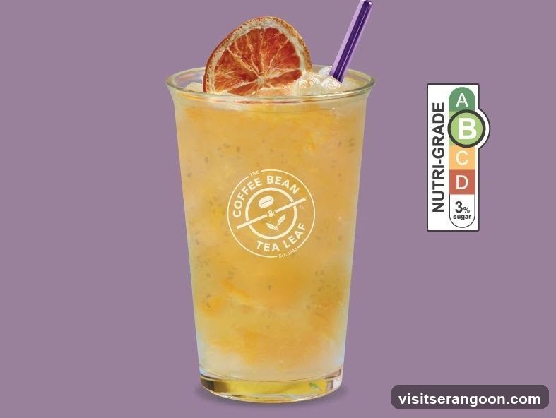 Orange Drink with Dried Orange Slice