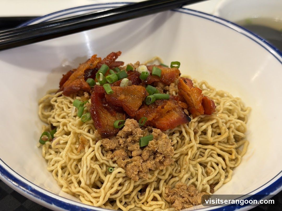 Noodles with Meat and Scallions