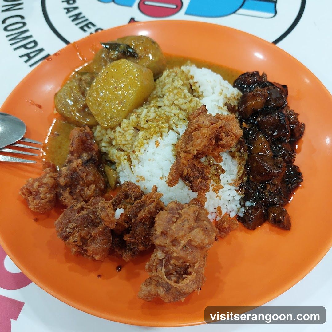 Rice plate with fried chicken and curry