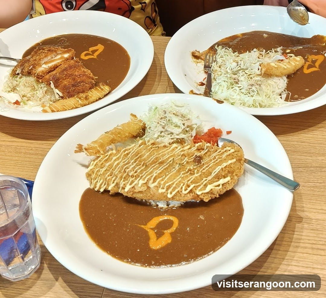 Curry dishes with fried toppings