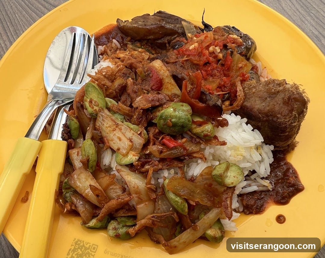 Plate of Rice with Stir-fried Vegetables and Fried Item