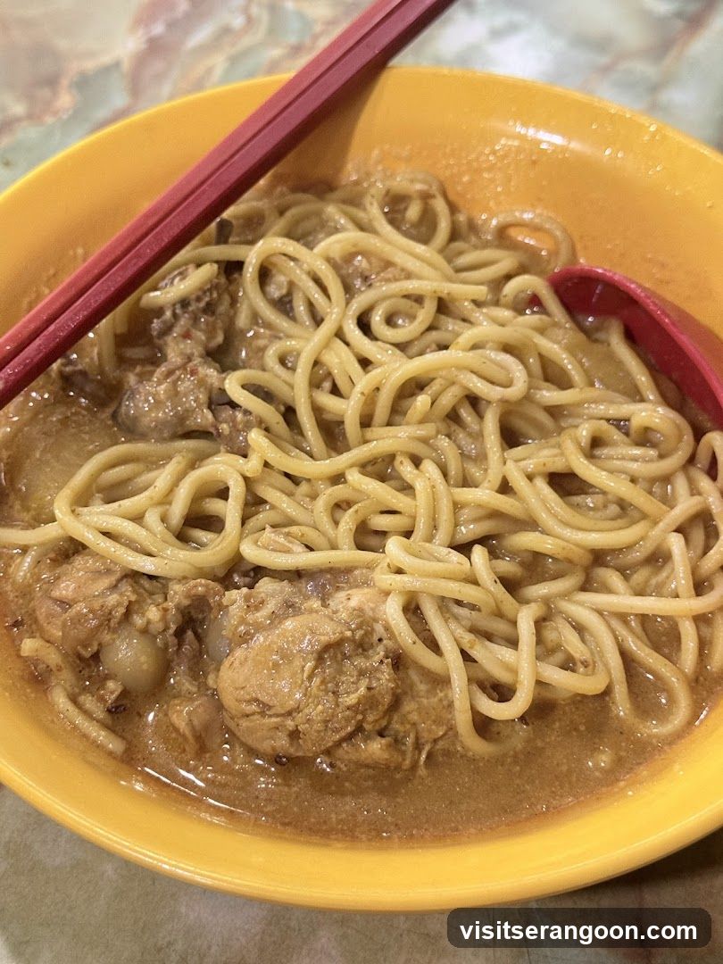 Noodle Soup with Chicken