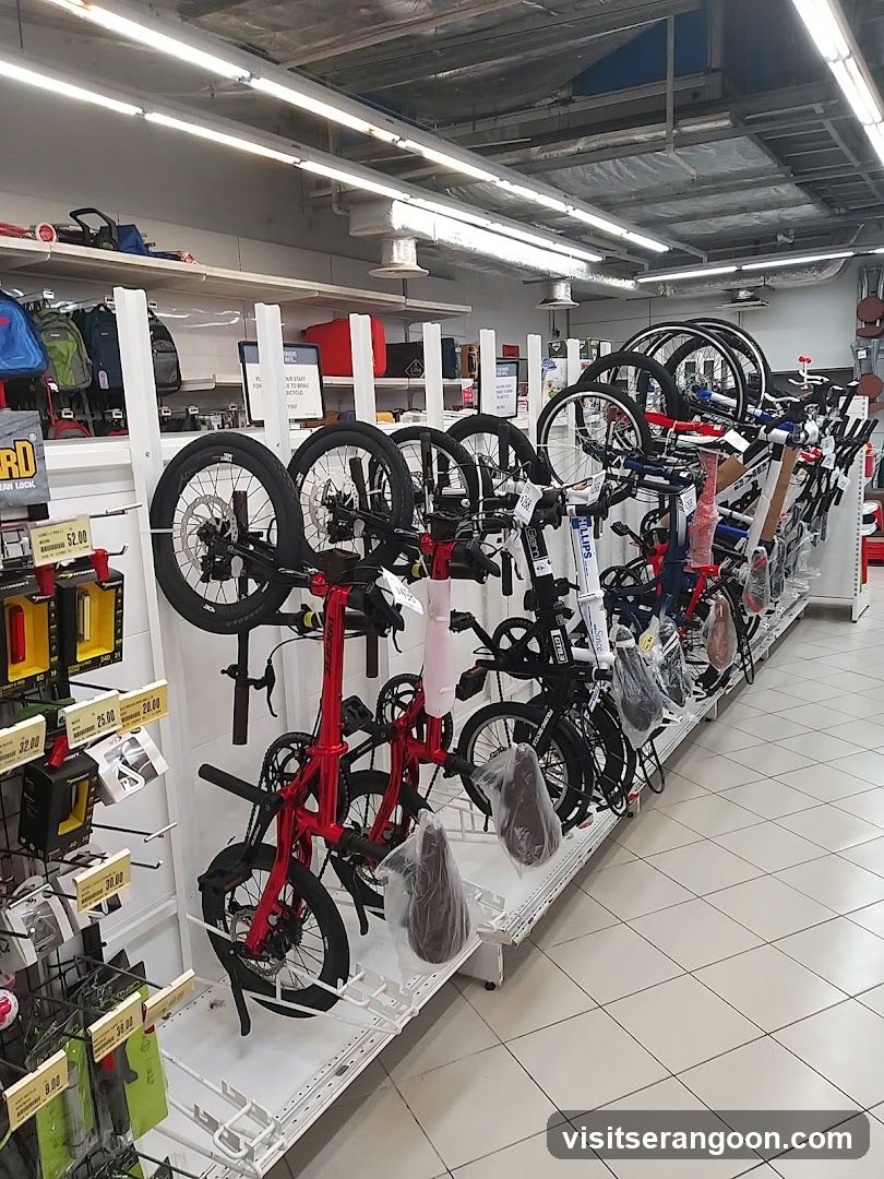 Bicycles and Accessories Display