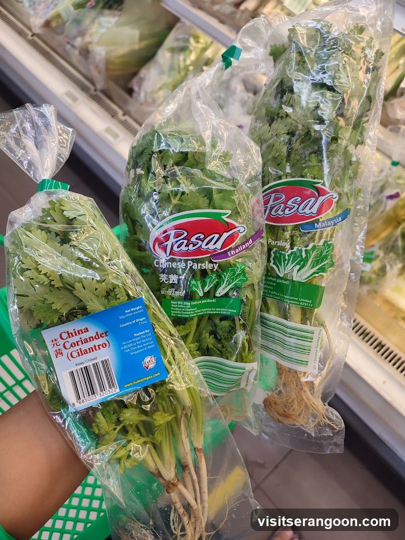 Fresh Cilantro Bunches