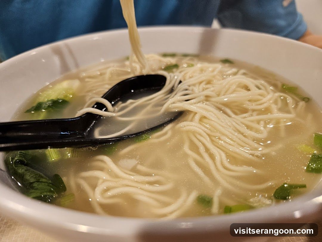 Noodle Soup