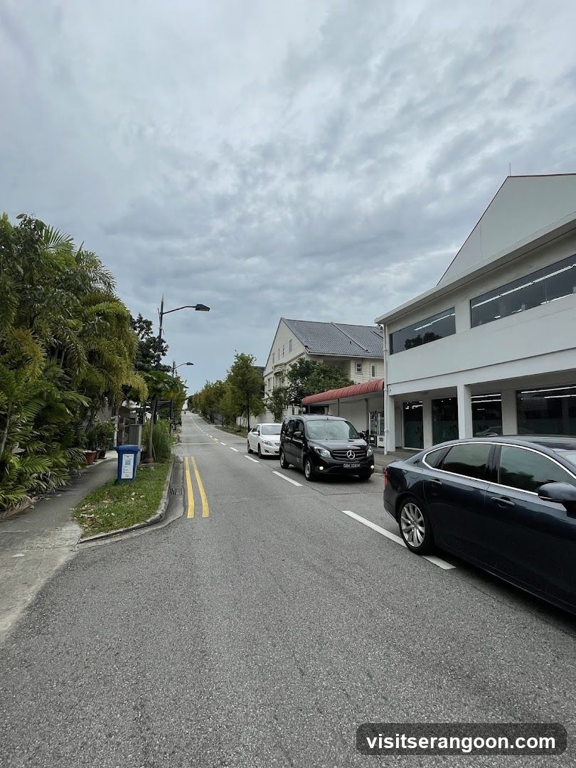 Street View with Cars and Buildings