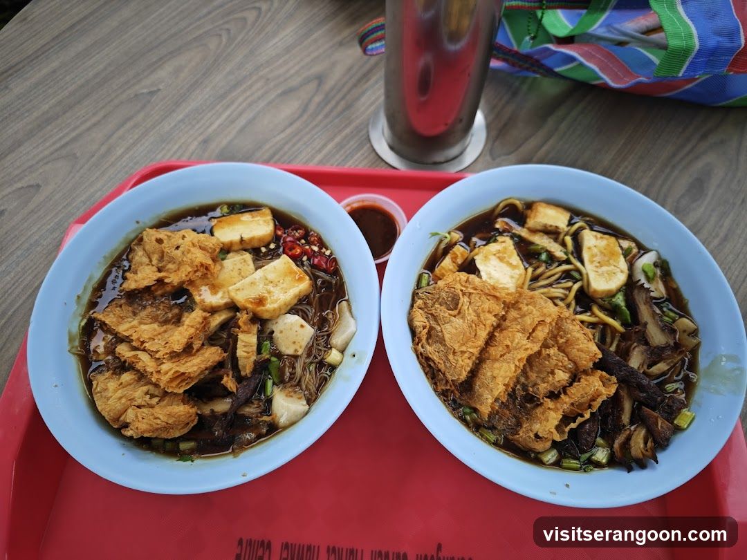Two bowls of noodles with fried tofu and other toppings