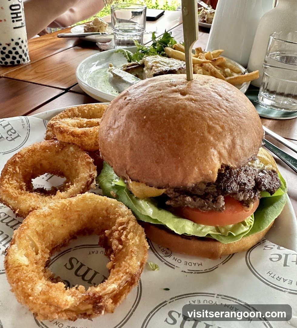 Burger and Onion Rings