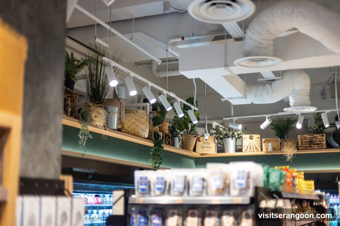 Store Interior with Shelving and Plants